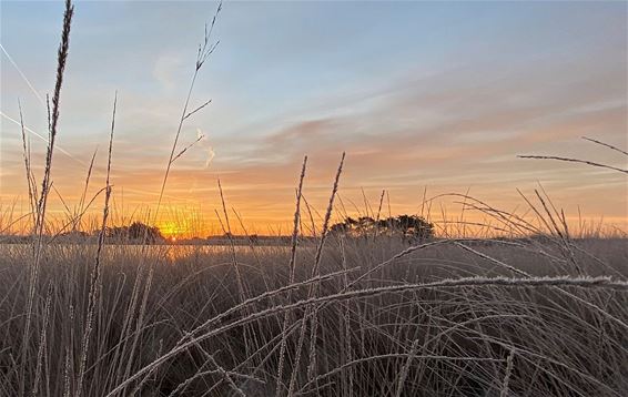 Zonsopgang bij de Kluis - Hamont-Achel