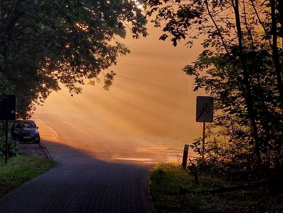 Zonsopgang bij De Winner - Pelt