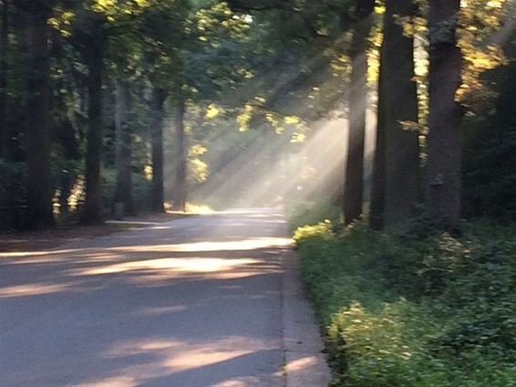 Zonsopgang in de Orchideeënlaan - Hamont-Achel