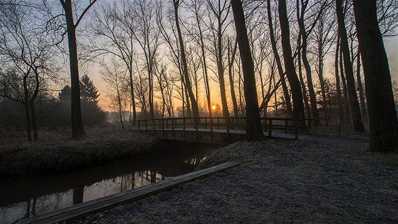 Zonsopgang in een berijmd Hageven - Neerpelt