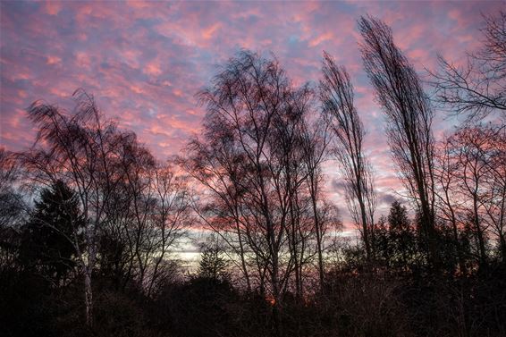 Zonsopgang in het centrum - Lommel