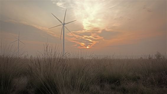 Zonsopgang in het Kristalpark - Lommel