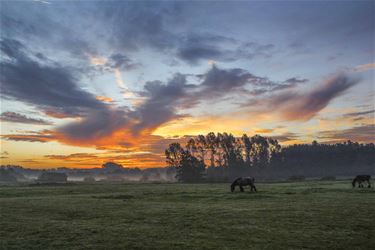 Zonsopgang Koerselsesteenweg - Beringen