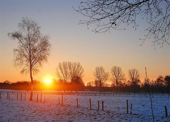 Zonsopgang op de Kolis - Neerpelt