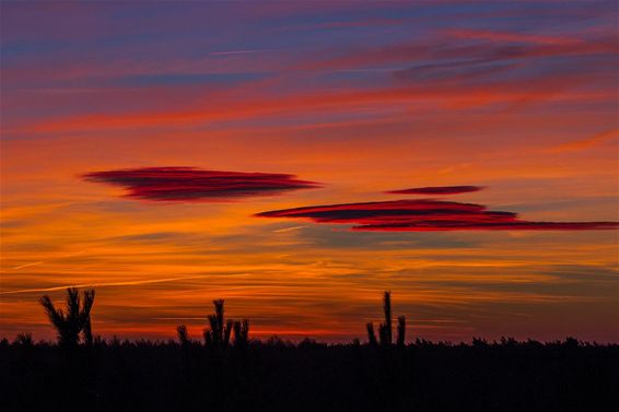 Zonsopgang van op de brandtoren - Neerpelt