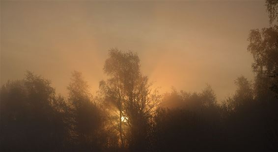 Zonsopgang - Neerpelt