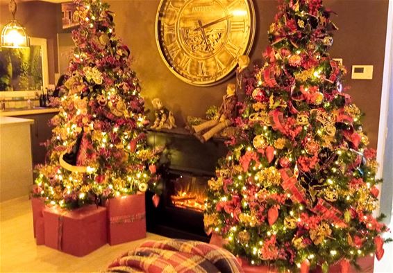 Zot van kerstmis - Beringen