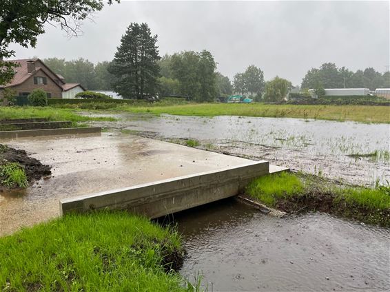 Zwarte Beek bijna op hoogste peil, alarm Demer - Beringen