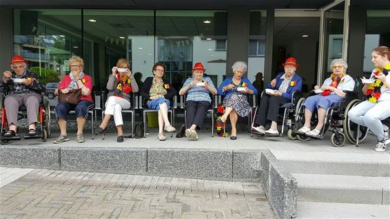 Zweedse balletjes tijdens de match - Overpelt