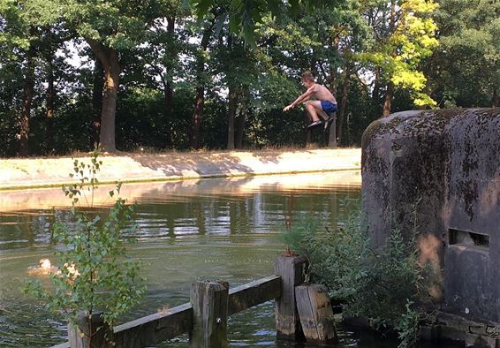 Zwemmen in kanaal mag niet - Neerpelt