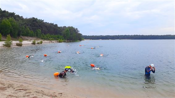 Zwemonderdeel Triatlon verplaatst wegens blauwalg - Lommel