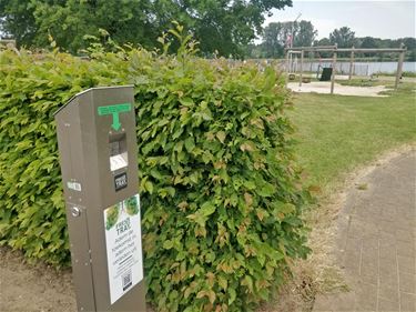 Zwemzone Paalse Plas en speeltuin Koersel rookvrij - Beringen