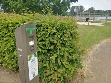 Zwemzone Paalse Plas en speeltuin Koersel rookvrij - Beringen