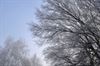 Hamont-Achel - Winterstemming