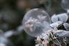 Lommel - Bevroren zeepbellen