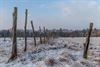 Overpelt - Winter in het Lindel...