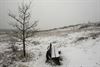 Beringen - Genieten van de sneeuw