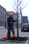 Hamont-Achel - Meer groen voor Budelpoort en Keunenlaan