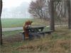Hamont-Achel - Vandaag gezien...