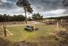 Lommel - Beheer van Blekerheide en Riebosserheide