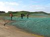 Beringen - Hydroseeding-werken op terril