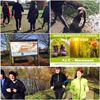 Beringen - FIT-Movement in Paal