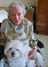Hamont-Achel - Nog drie keer slapen voor Annie