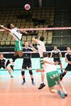 Hamont-Achel - Volleybal: geen Limburgse beker voor AVOC