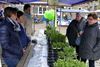 Neerpelt - Veel volk op de teutenmarkt