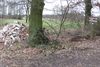 Overpelt - Vandaag gezien