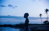 Tongeren - Zebracinema: 'Moonlight'