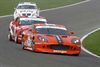 Pelt - Ginetta voor Niels Lagrange