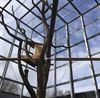 Beringen - Paals bedrijf bouwt vogelkooi voor La Biomista