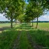 Neerpelt - De wandelkamer van Lille