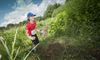 Lommel - Driedaagse oriëntatielopen in Bosland