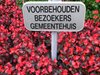 Overpelt - Vandaag gezien...