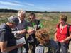 Lommel - Vroeger dan verwacht heideherstel Blekerherheide