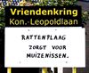 Lommel - Weeral ratten?