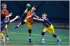 Lommel - Nieuwe handbalclub