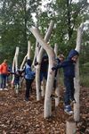 Neerpelt - Belevingspaden aan Kolisbos ingehuldigd