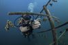 Beringen - Kimmie Stokmans helpt koraalrif redden