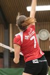 Lommel - Volley: mooie winst voor Lovoc-dames