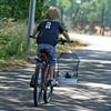 Overpelt - Vandaag gezien...