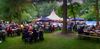 Lommel - Lekker concert tijdens Parkblues
