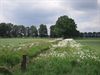 Pelt - Beekranden worden pareltjes in de natuur