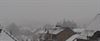 Beringen - De eerste sneeuw