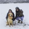 Beringen - Sneeuwpret voor honden
