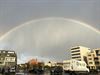 Lommel - Een geweldige regenboog