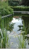 Neerpelt - Zondag Zomerzucht in Neerpeltse tuinen
