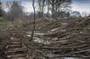 Lommel - Bomen gekapt aan de Fossé